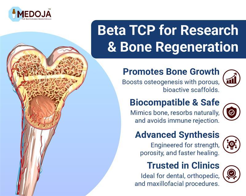 Beta TCP for Research & Bone Regeneration