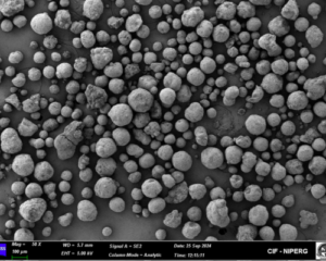 Hydroxyapatite Thermal Spray Powder for orthopedic implant coating